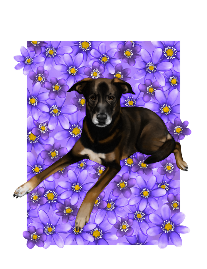 A full color illustration of my bestie's beautiful dog. She's laying down with her leggies kind of spread. Her background is purple daisies.