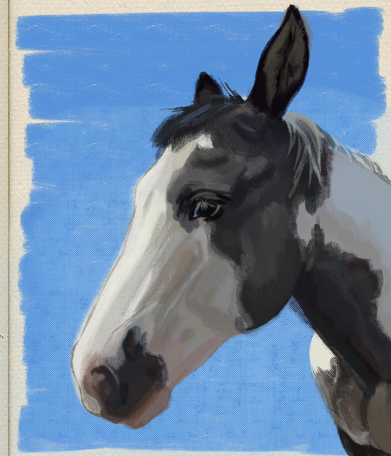 Horse. 2026. Study.